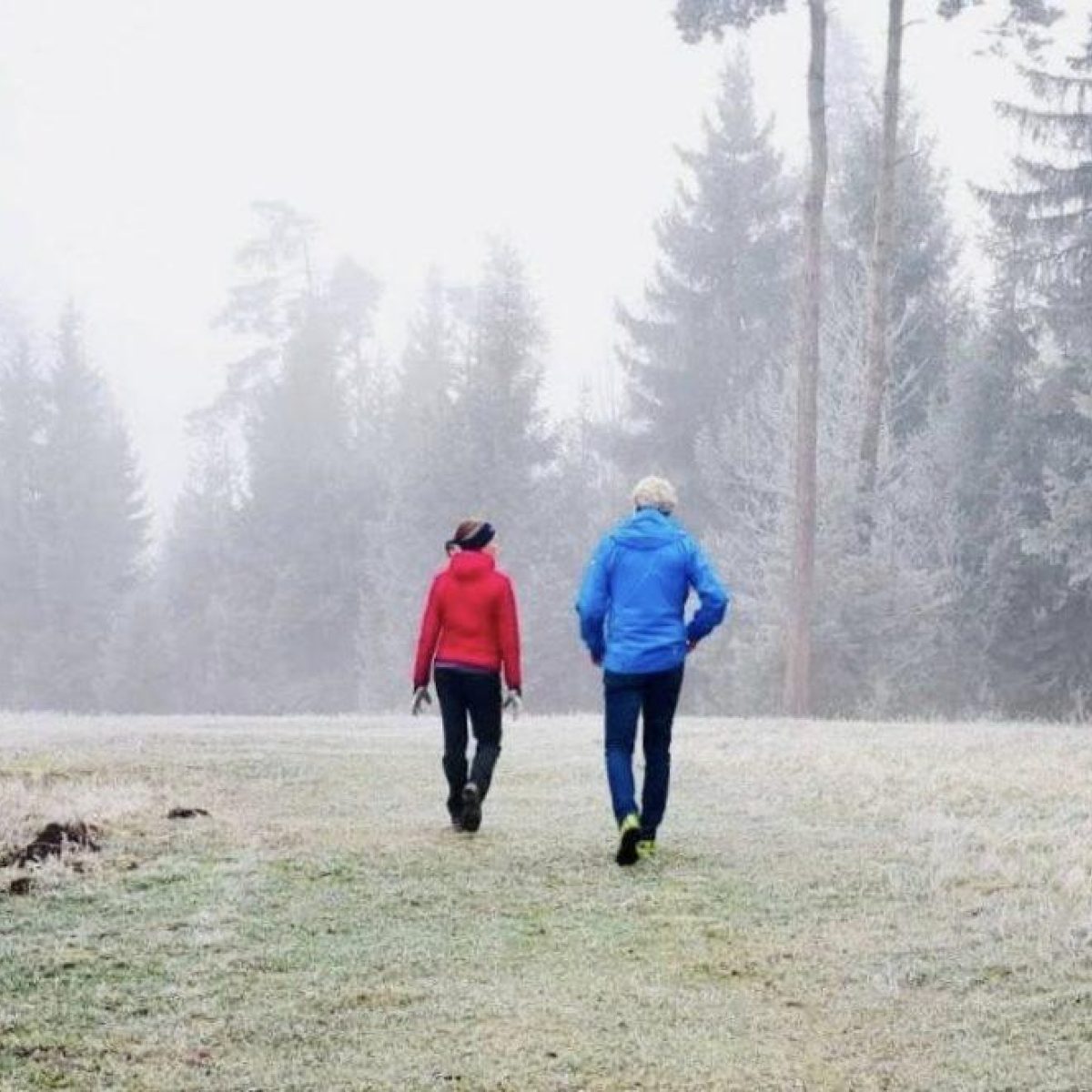 Lauf meines lebens 1
